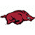 Collection image for: Arkansas Razorbacks