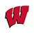 Collection image for: Wisconsin Badgers