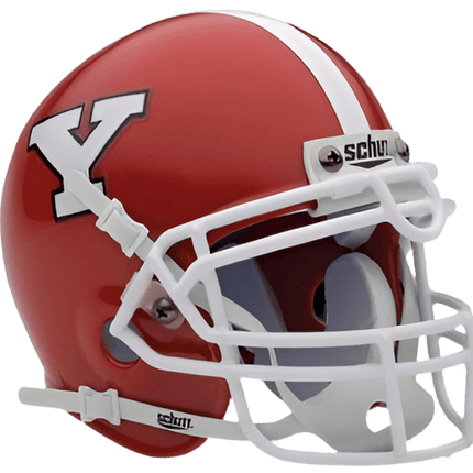 Youngstown State Penguins Schutt NCAA College Football Authentic Mini Helmet