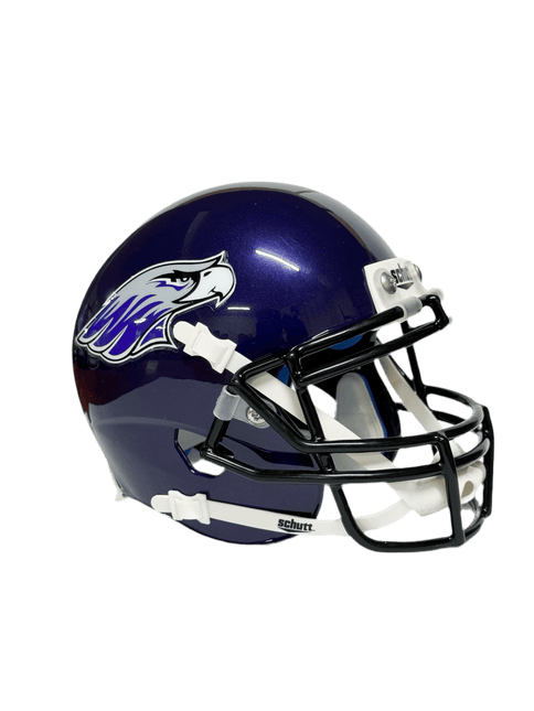 Wisconsin-Whitewater Warhawks Schutt NCAA College Football Authentic Mini Helmet