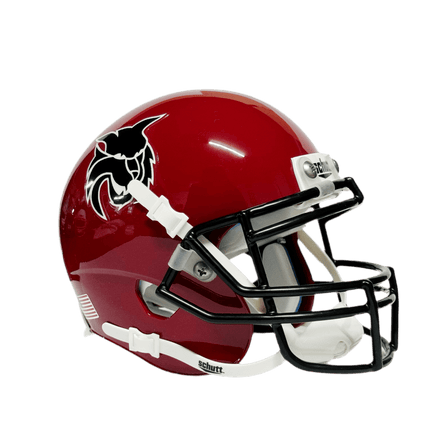 Central Washington Wildcats CWU Schutt NCAA College Football Authentic Mini Helmet